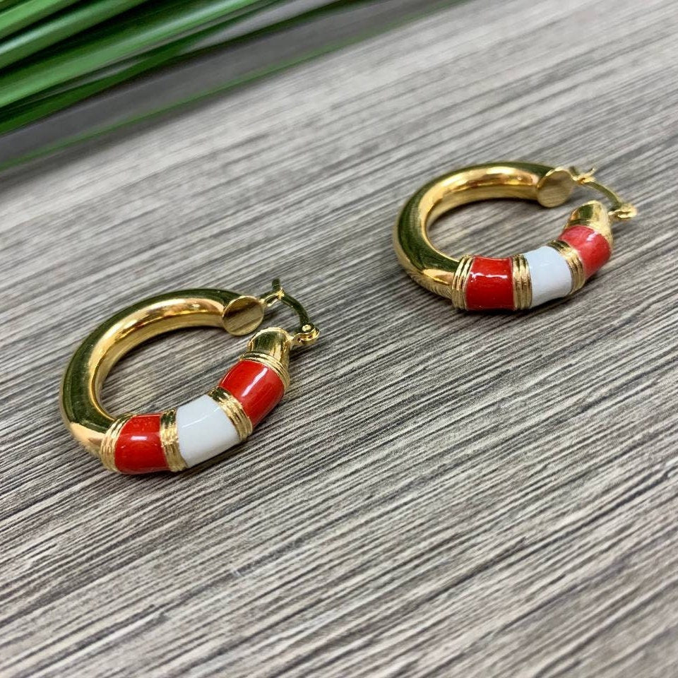 18k Gold Filled Colored Enamel Hoops Earrings